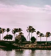 SEA-☆の画像