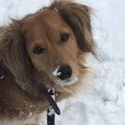 えねるんるん