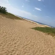 kooの画像