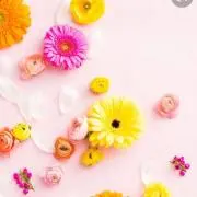 momoの画像