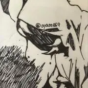 サトウキビの画像