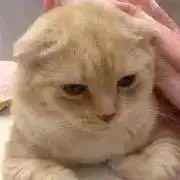 お松(プロフィールご一読ください)の画像