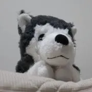 みく