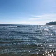 うみの画像