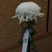 Susumuの画像