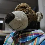 くまごろうの画像