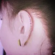 テイ