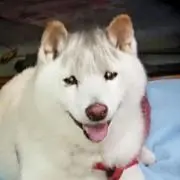 なおきち、プロフ確認して下さいの画像
