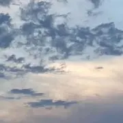 りりりり