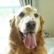 nanaの画像