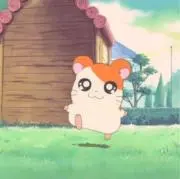 xxs★の画像