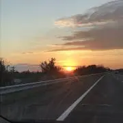 はるたの画像