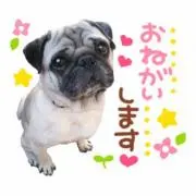 るに☆の画像