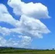 andpの画像