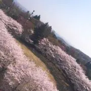 ぱんの画像