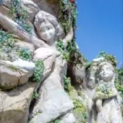 TDSの画像