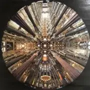 ノリの画像