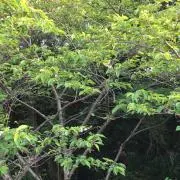 wave2018の画像