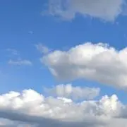 バニラの画像