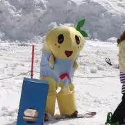 mizzo 11の画像