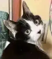 赤の3838の画像