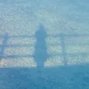 ゆんの画像