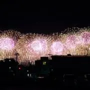 kotteの画像