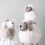 Applesの画像