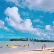 tmtrtsの画像
