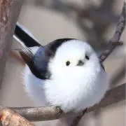 Jay Takiの画像