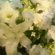 ★光★の画像