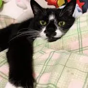 るる 即購入可。プロフ必読。 断捨離中の画像
