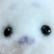 みの画像