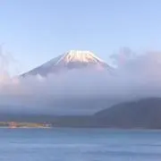 yy