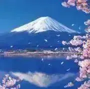クララ　プロフご確認お願い致します。の画像