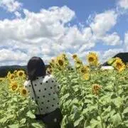 12345☆の画像