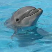 kmy☆の画像