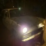 lacteaの画像
