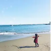 ポケモン えにっき シールつき ベストウィッシュ - メルカリ