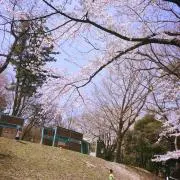 妃菜⭐︎の画像