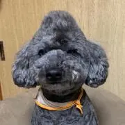 ☆KING☆プロフ必読の画像
