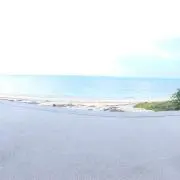 Sの画像