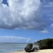 arazuの画像