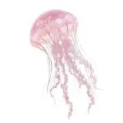 てほの画像