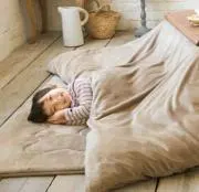 こたつのぬしの画像