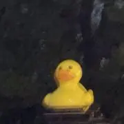 はんぺんの画像
