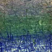 nemuの画像
