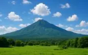 ★Flower★ 24時間以内発送の画像