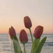 n.の画像