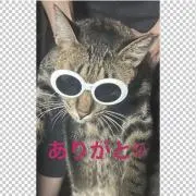 Makky❤︎の画像